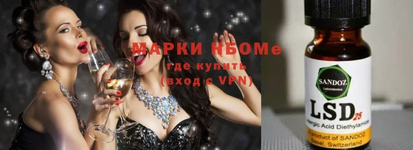 мдпв Верея