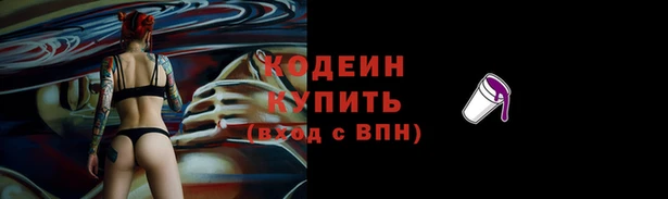 мдпв Верея
