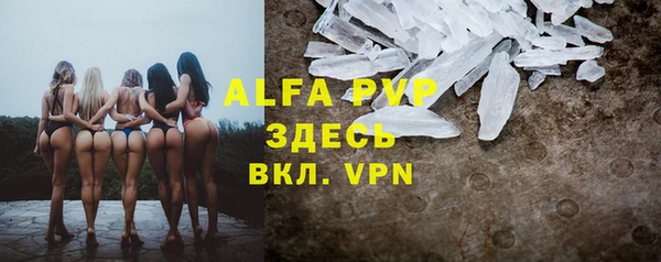 мдпв Верея
