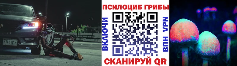 Псилоцибиновые грибы Cubensis  Кемерово 